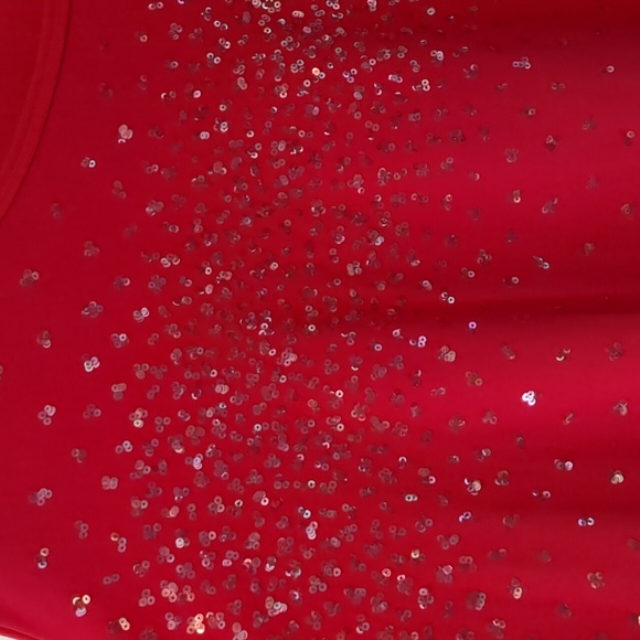 Venezia Lane Bryant Sequin Bell Sleeve Top - 22/24 - Picture 3 of 6